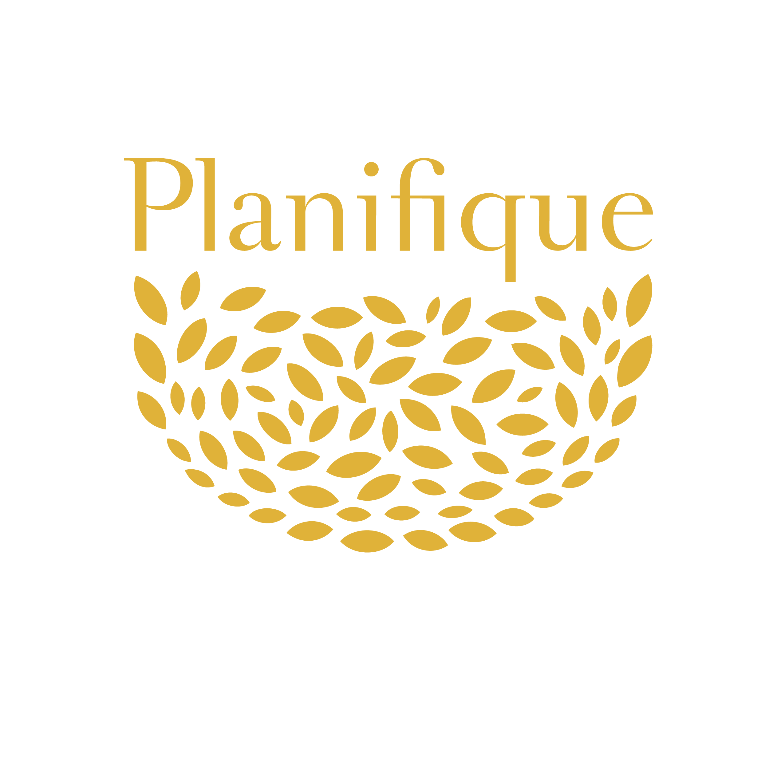 Planifique